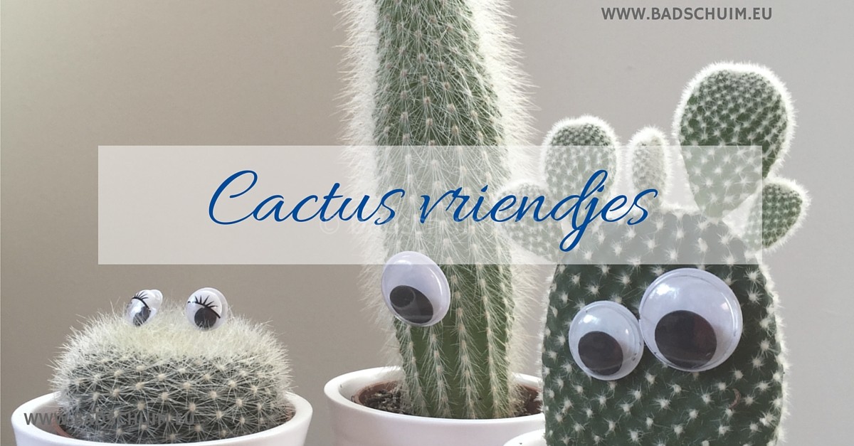 Cactus vriendjes I DIY met stappenplan te vinden op het creatief lifestyle blog Badschuim