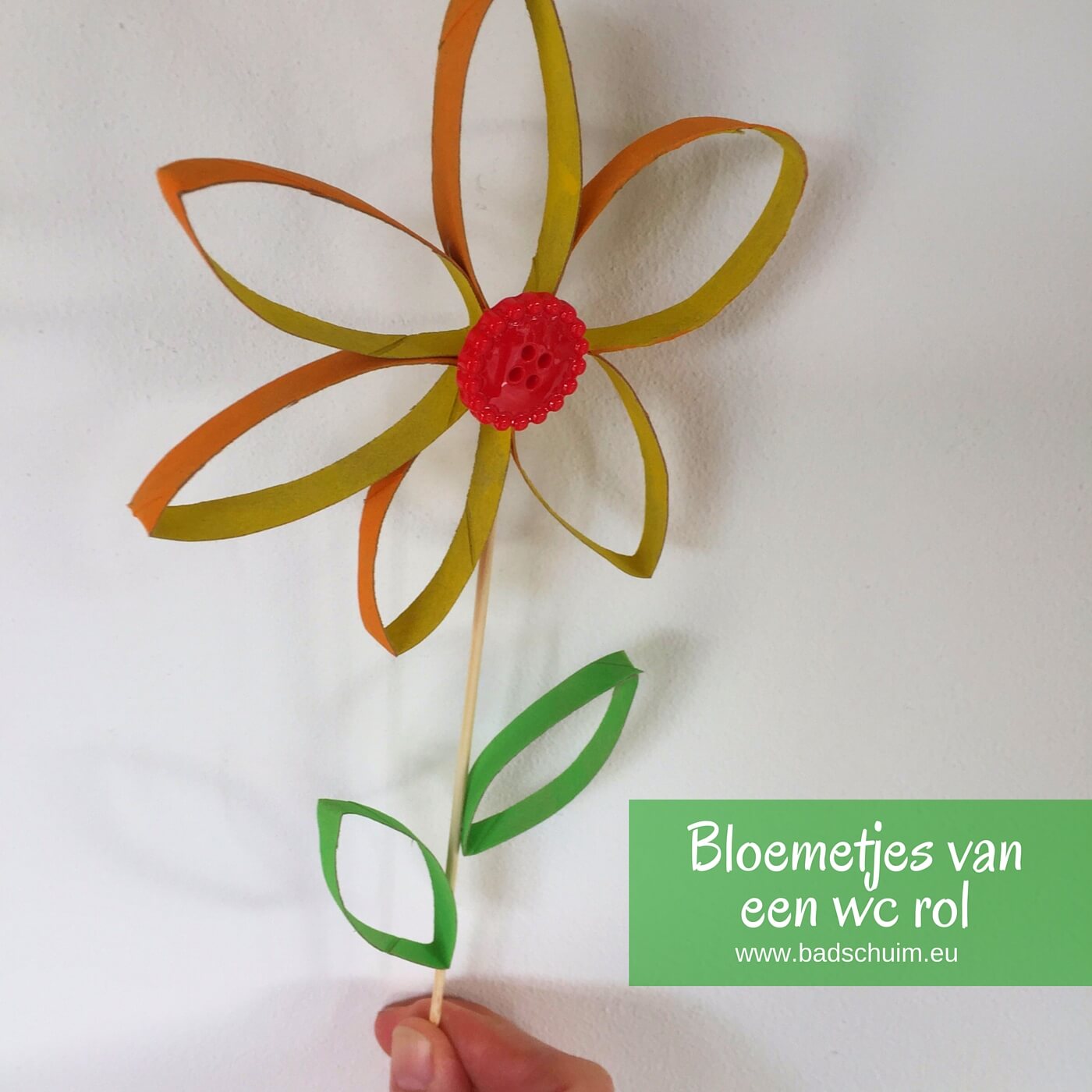 Geef eens bloemetjes van wc rolletjes cadeau. Simpel te maken (ook met kids) met dit DIY foto stappenplan. Eigenlijk zo leuk dat je ze zelf wilt houden!