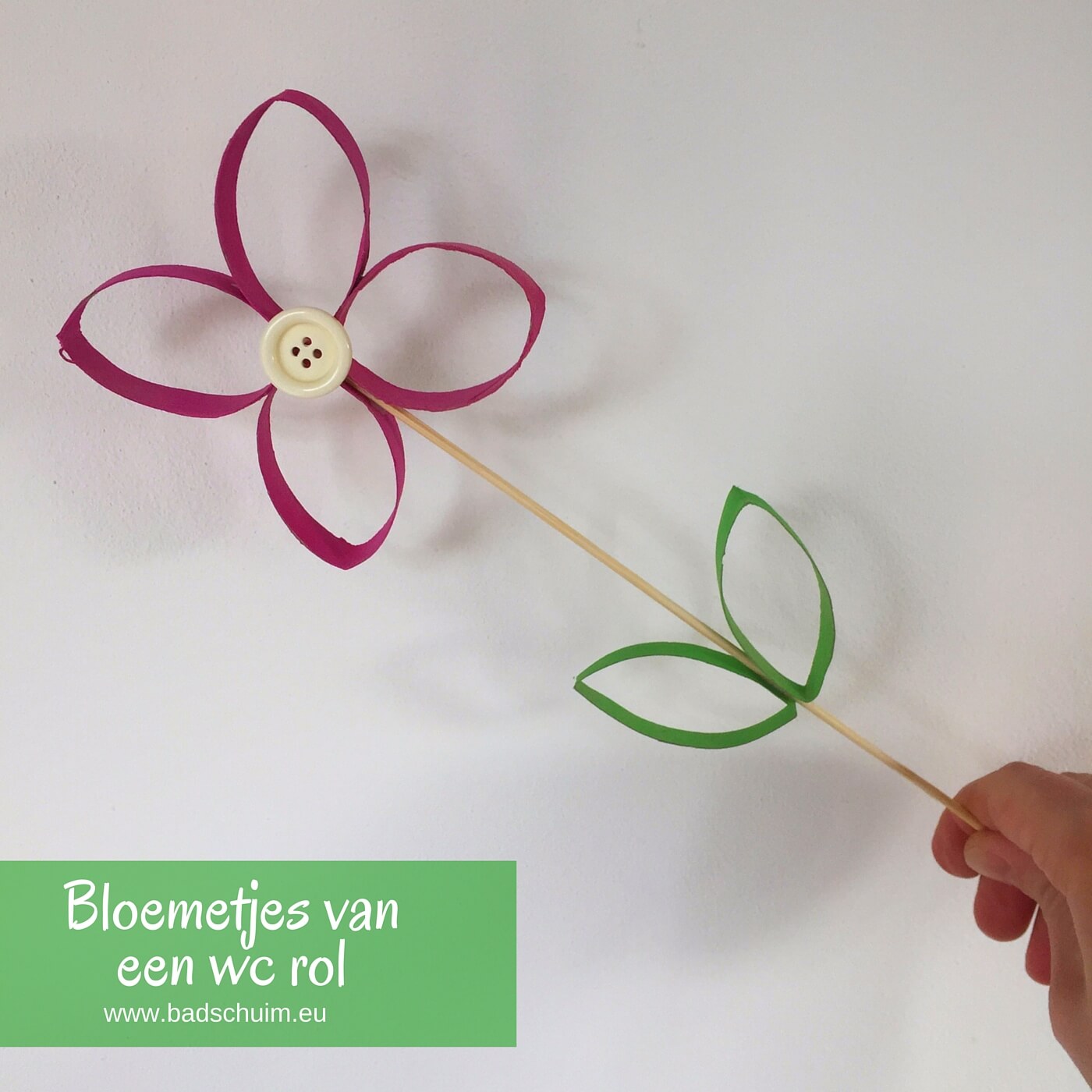 Geef eens bloemetjes van wc rolletjes cadeau. Simpel te maken (ook met kids) met dit DIY foto stappenplan. Eigenlijk zo leuk dat je ze zelf wilt houden!