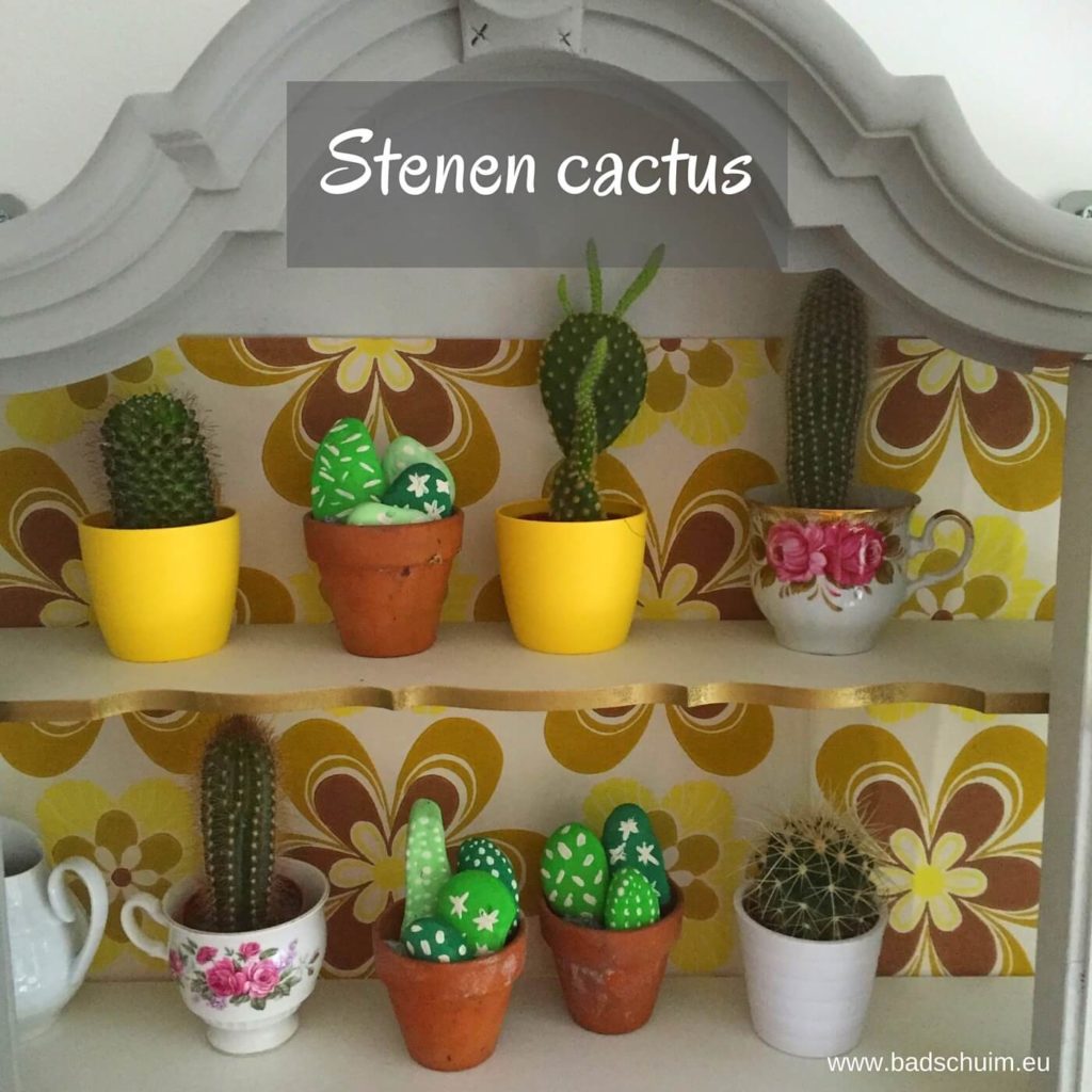 Helemaal hip: cactussen! Wil je een kindvriendelijke en onderhoudsvriendelijke versie?! Maak dan deze cactus van steen. Met dit DIY stappenplan zelf te maken (ook met je kids)!