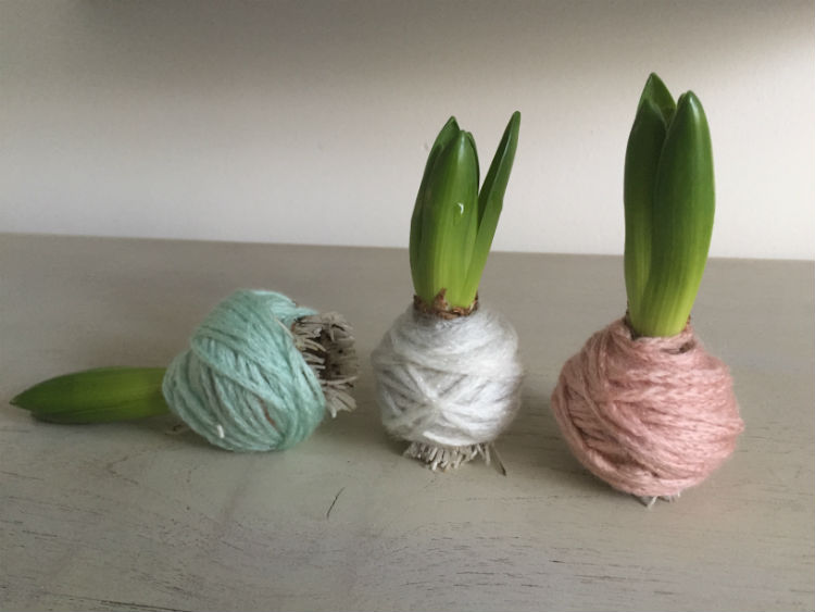 DIY: bloembollen met wol - goedkoop en unieke bloembollen decoratie